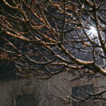 ДВЕ НЕОБИЧНЕ МЕТЕРЕОЛОШКЕ ПОЈАВЕ ВИЂЕНЕ У СРБИЈИ-КРУПА И ПЉУСАК СНЕГА