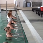 ДАНАС ПОЧИЊЕ ПРИЈАВА ПЕНЗИОНЕРА ЗА БЕСПЛАТАН БОРАВАK У БАЊИ: Познато који су УСЛОВИ