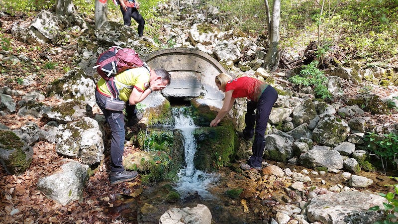 342785329_232968026073438_5648846121847299334_n