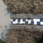 РХМЗ УПОЗОРАВА НЕ НА КИШУ, ВЕЋ НА РЕКЕ Овде су критичне тачке ДА ЛИ СРБИЈИ ПРЕТИ ИЗЛИВАЊЕ РЕКА