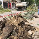 (ВИДЕО) ПОЧЕЛА РЕКОНСТРУКЦИЈА ДОЊЕГ ДЕЛА ГЛАВНЕ УЛИЦЕ У ПАЛАНЦИ