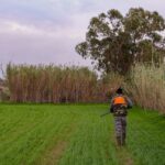 ПРИВЕДЕН ОСУМЊИЧЕНИ ЗБОГ УБИСТВА ПСА ТОКОМ ЛОВА