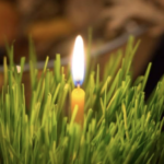 Влада Србије послала предлог послодавцима: Бадњи дан ће бити нерадни?