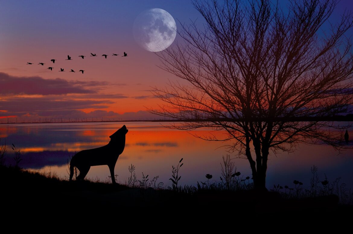 sunset-4957459_1280