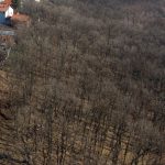 Србија добија нових 7.000 хектара шума