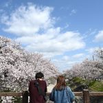 ЗНАТЕ ЛИ ШТА ЈЕ ВРБОПУЦ? Све нам је ближи, а ево какав је то феномен’!