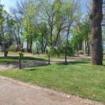 ПРВИ МАЈ ЋЕ ОСВАНУТИ СУНЧАН, ОНДА СЛЕДИ ПРЕОКРЕТ: У овим деловима Србије биће пљускова, могућа и још једна природна непогода