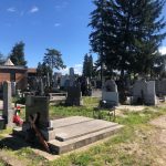 У СУБОТУ ОБЕЛЕЖАВАМО ЛЕТЊЕ ЗАДУШНИЦЕ- Ево шта сваки верник треба да уради тог дана