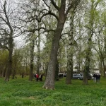 ВРЕМЕНСКА ПРОГНОЗА ЗА ПРВИ МАЈ И УСКРС: Суво, али не тако топло, ево где ће падата киша