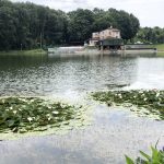 ПРЕД НАМА НОВИ ТРОПСКИ ТАЛАС: Температуре поново скачу – 3 места су најкритичнија а ево који дани ће бити најврелији!