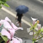 Од овог дана стиже невреме у Србију: РХМЗ се хитно огласио, кишобрани ће вам бити преко потребни