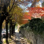 ОД СУТРА СЕ ВРАЋА ТОПЛО ВРЕМЕ А ЕВО ШТА НАС ЧЕКА У НОВЕМБРУ