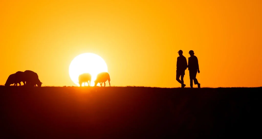 СУТРА И ДО 36 СТЕПЕНИ: Топлотни талас не јењава – од овог дана температура пада за 10 степени