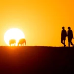 СУТРА И ДО 36 СТЕПЕНИ: Топлотни талас не јењава – од овог дана температура пада за 10 степени