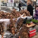 ЦЕНА БАДЊАКА ПРИСТУПАЧНА Почела продаја и пшенице као и сувог воћа, кренуле припреме за Бедње вече и Божић у Смедеревској Паланци