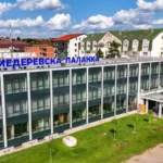 ЕДУКАЦИЈА О ВЕШТАЧКОЈ ИНТЕЛИГЕНЦИЈИ У СПОРТУ У СМЕДЕРЕВСКОЈ ПАЛАНЦИ