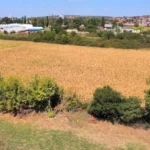 ЈОШ СЕДАМ ДАНА ОТВОРЕН КОНКУРС ЗА ПОЉОПРИВРЕДНИКЕ, ЕВО КО МОЖЕ ДА КОНКУРИШЕ ЗА СРЕДСТВА