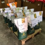 Нови правилник о начину на који пољопривредници могу да добију регрес за куповину сертификованог семена