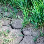 Топлотни таласи и поплаве већ коштали ЕУ 43 милијарде евра ДУГОРОЧНИ ЕФЕКТИ ЈОШ СТРАШНИЈИ И СКУПЉИ