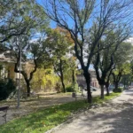 РХМЗ је управо објавио најновије упозорење које је шокирало Србију: Изненадиће вас шта је у питању