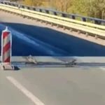 ОШТЕЋЕН ОСТРУЖНИЧКИ МОСТ! Пукли „чешљеви“, колапс и колона оштећених возила код Бубањ Потока