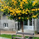 ПРОГНОЗА ВРЕМЕНА ЗА СЕДМИЦУ ПРЕД НАМА, ОВОГ ДАНА ЋЕ БИТИ И ДО 19 СТЕПЕНИ