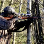 Министарство пољопривреде расписало конкурс за субвенције у ловству