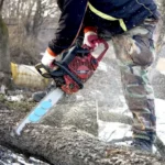 Србија забранила незакониту сечу; Ево шта доноси Закон о стављању на тржиште дрвета и дрвних производа